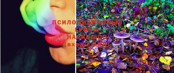 прущая мука Белокуриха