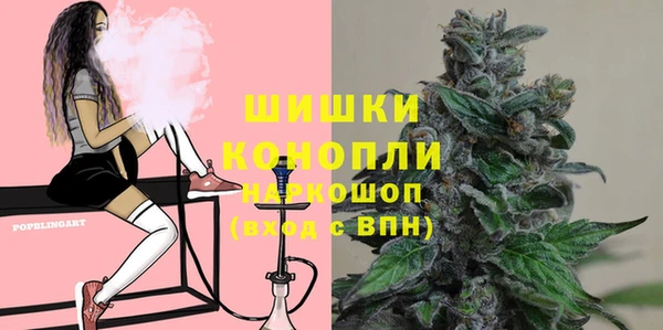 гидра Балахна