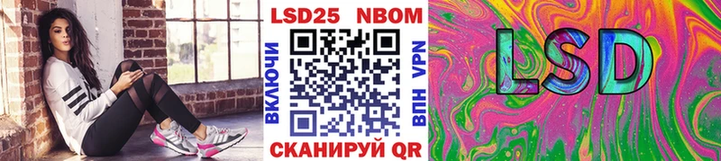 Купить где Судак Марки N-bome 1,8мг